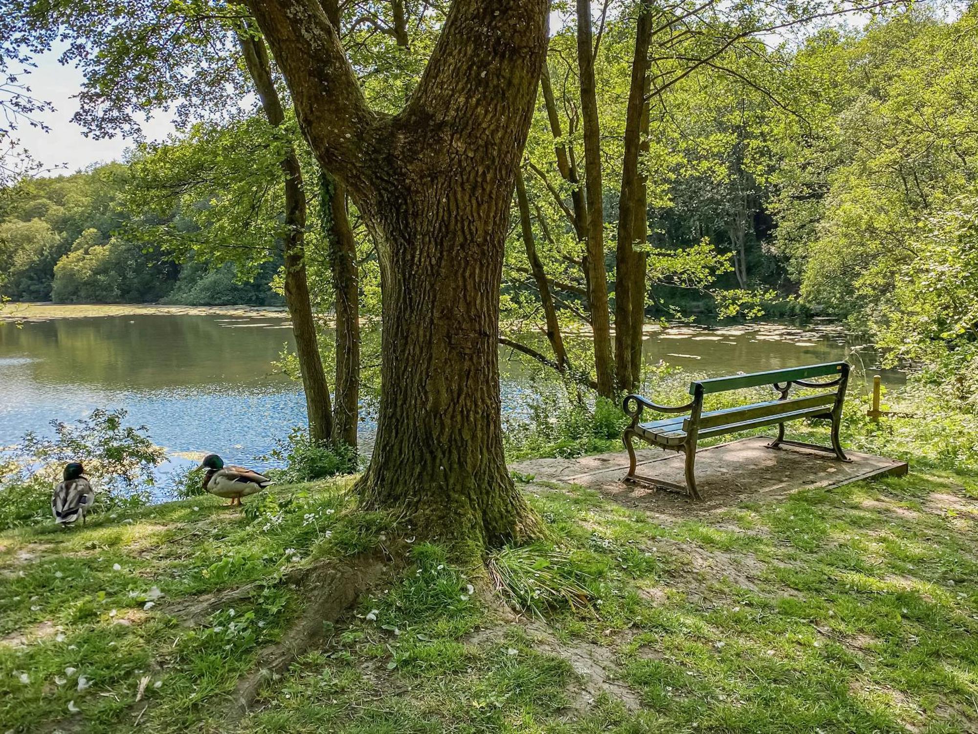 Serenity- Uk38551 Endon Екстериор снимка